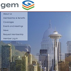 GEM Homepage Screen Shot